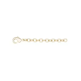 Kendra Scott 2 Inch Yellow Necklace Extender