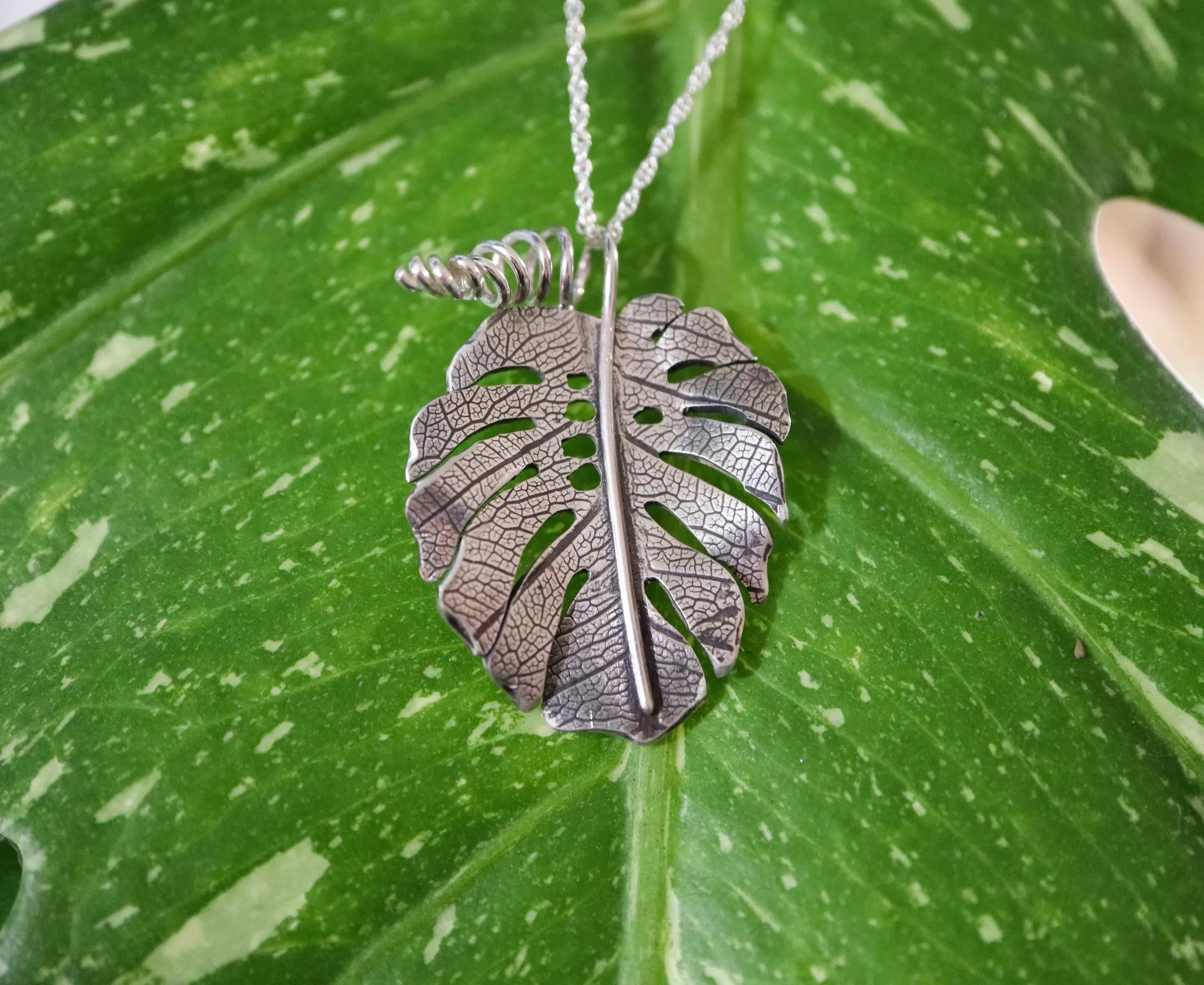 Monstera Deliciosa Jewelry Set