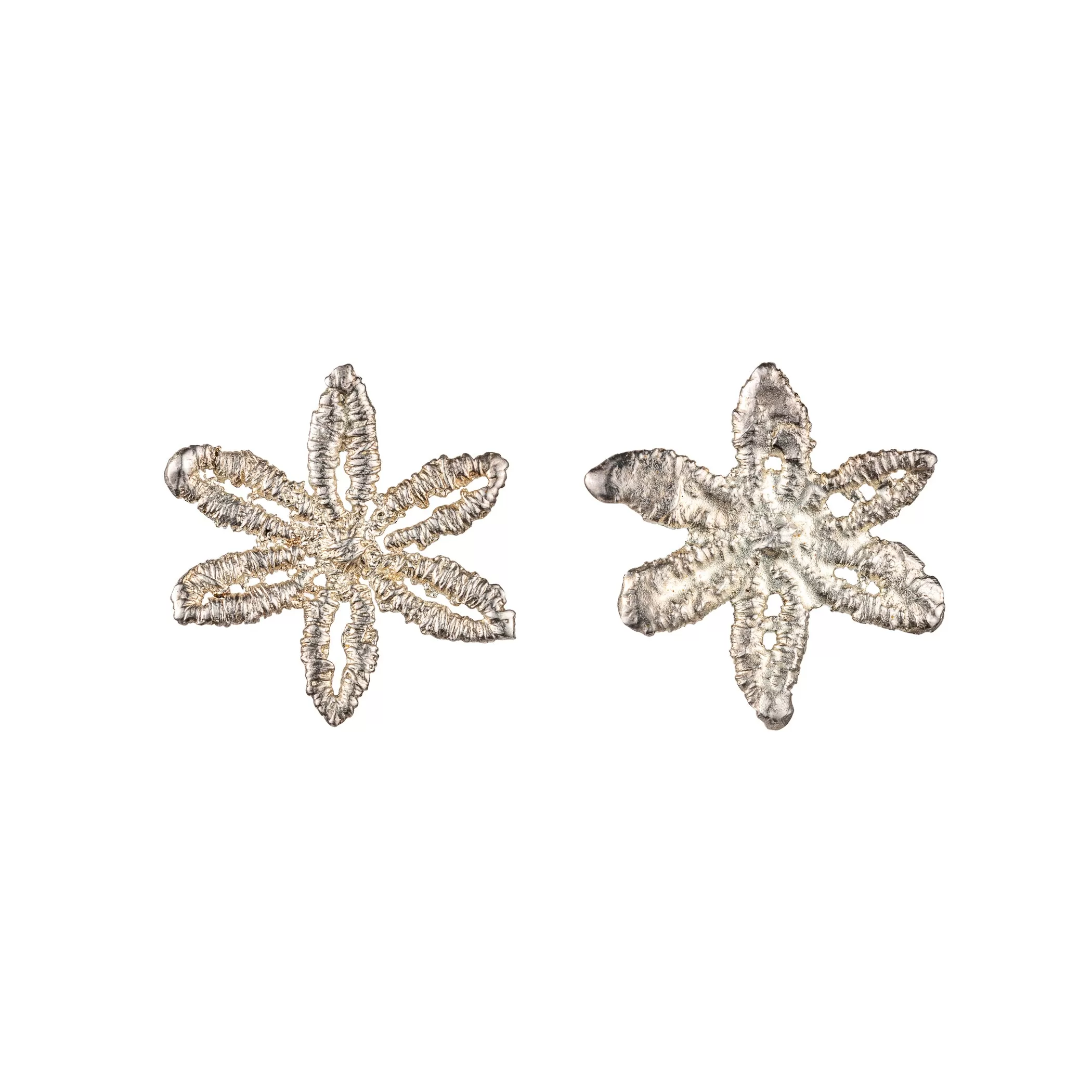 Silver Star Earrings