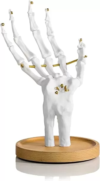 Skeleton Hand Jewelry Holder