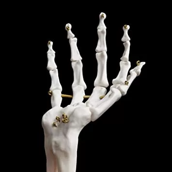 Skeleton Hand Jewelry Holder